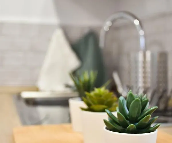 Vegueta * 라스팔마스